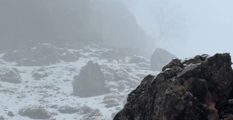 Sisli Hava ve Dağ Keçileri: Doğanın Görsel Şöleni
