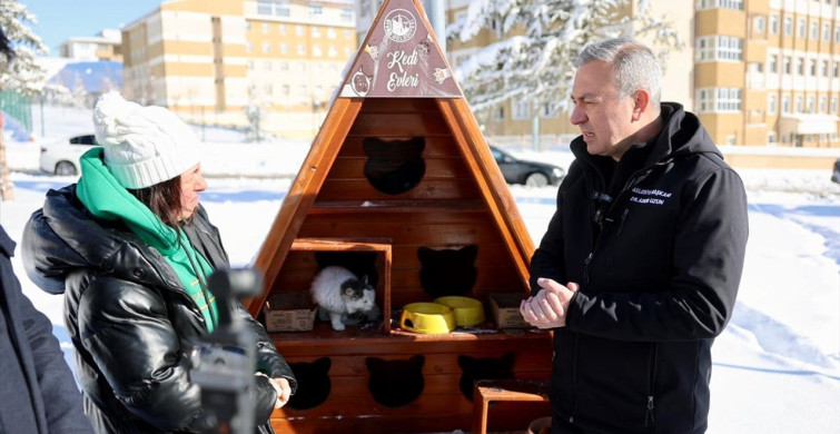 Sivas Belediyesi Kışın Sokak Kedilerini Unutmuyor
