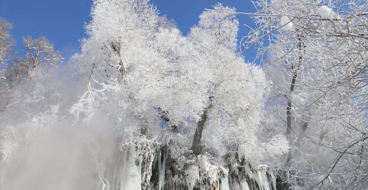 Sivas'ın Gemerek İlçesinde Soğuk Hava ve Don Olayı