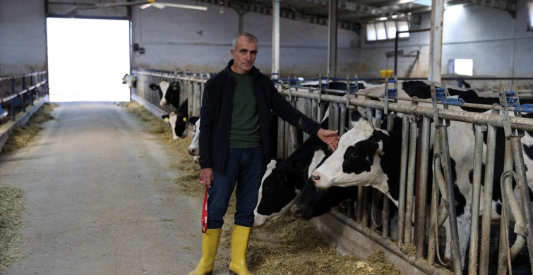 Sivaslı Çiftçinin Devlet Desteğiyle Başardığı Süt Üretimi