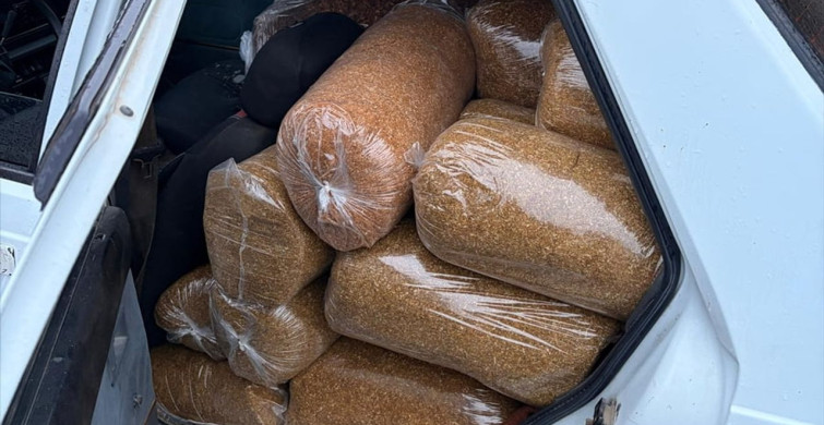 Sivas'ta 1 Ton Gümrük Kaçağı Tütün Ele Geçirildi