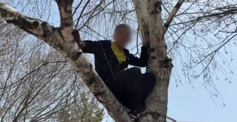 Sivas'ta Ağaçta Kalan Çocuğa İtfaiye Yardımı