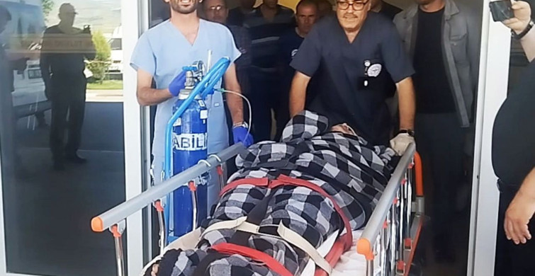 Sivas’ta ayı saldırısına uğrayan vatandaş kangal köpeklerinin yardımıyla kurtuldu