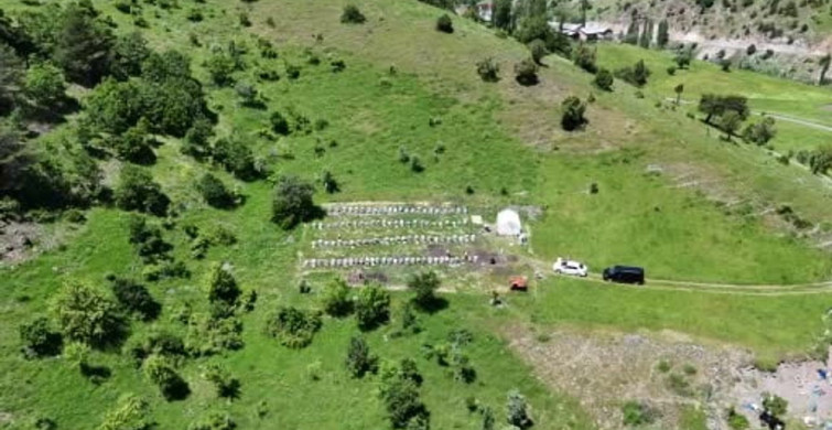Sivas'ta bu yıl bal üretiminde rekor bekleniyor