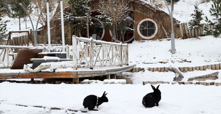 Sivas'ta Kar Altındaki Hobbit Evleri