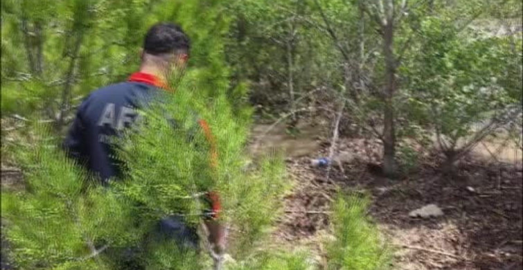 Sivas'ta Koyulhisar'da trafik kazası sonrası Kelkit Çayı'na atlayan genç kız için arama çalışmaları devam ediyor