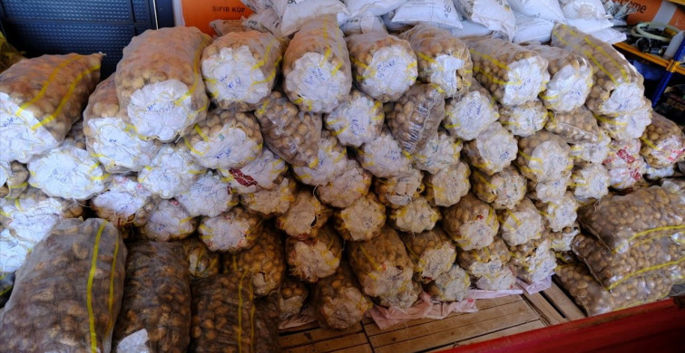 Sivas'ta Patates Yetiştiriciliği Araştırması