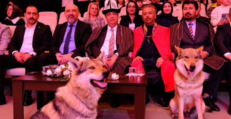 Sivas'ta Renkli Nevruz Kutlamaları