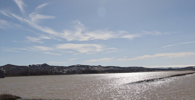 Sivas'ta Tarım Arazileri Su Baskınına Uğradı