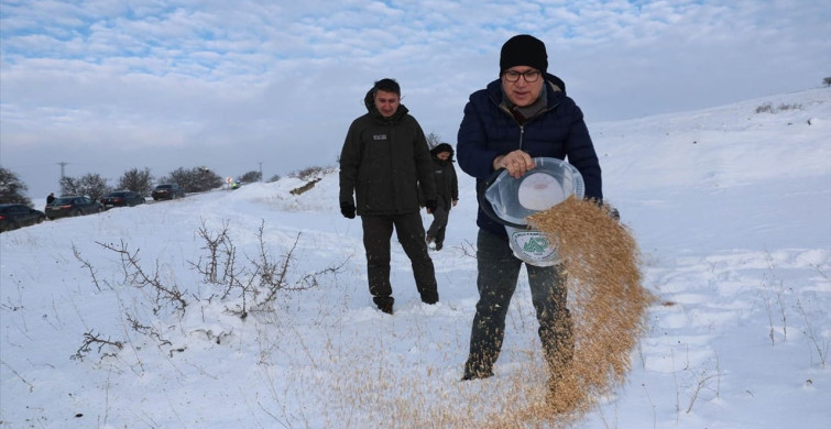 Sivas'ta Yaban Hayvanları İçin Yem Bırakıldı