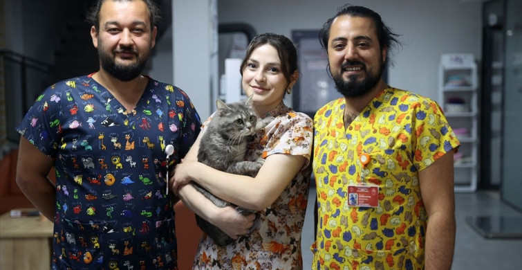 Sivas'ta Zehirlenen Kedi Dört Ayak Üstüne Düştü