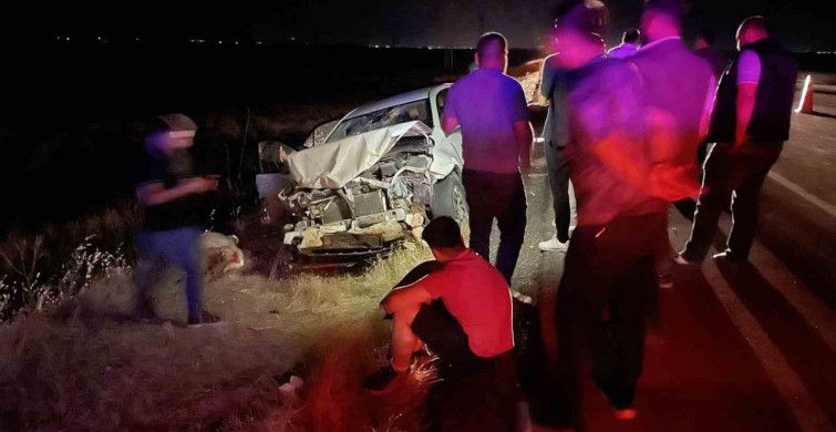 Siverek'te otomobil koyun sürüsüne daldı: 3 kişi yaralandı, 11 koyun telef oldu