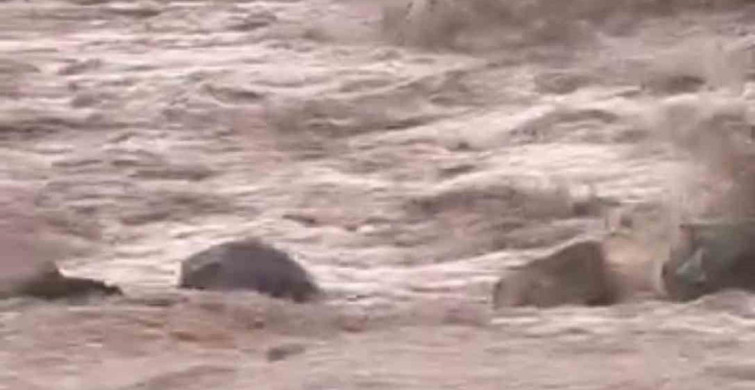 Siverek'te Sağanak Yağış Sele Neden Oldu