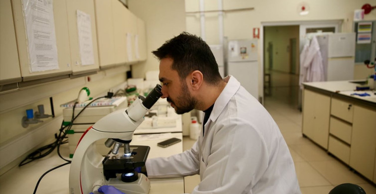 Sivrisinekle Mücadelede Yenilikçi Bakteri Yöntemi Geliştirildi