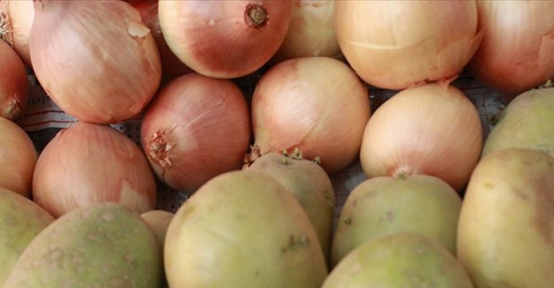 Soğan Ve Patates Üretimi Mayıs Ayına Kadar Yeterli