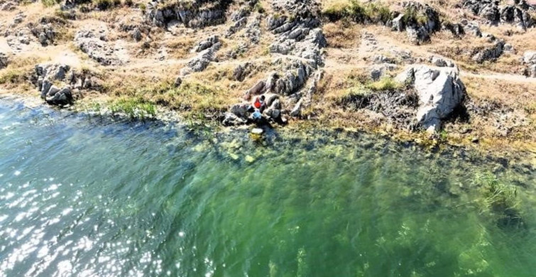 Söğüt ilçesinde göletlerde sinekle mücadelenin önemi
