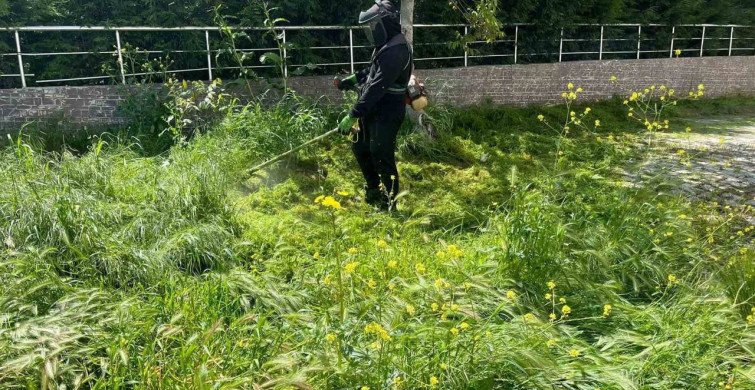 Söğüt’te Yeşil Alan Bakım Çalışmaları Devam Ediyor