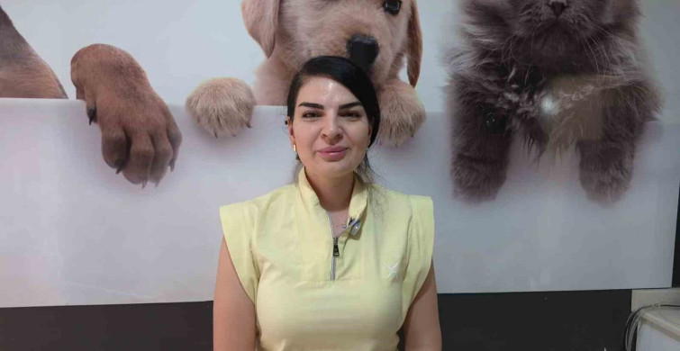Sokak hayvanı sahiplenirken dikkat edilmesi gerekenler