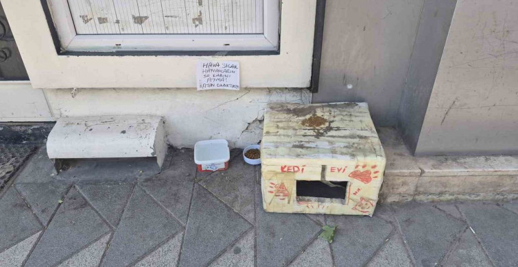 Sokak hayvanlarının su kaplarını korumak için yaratıcı uyarı