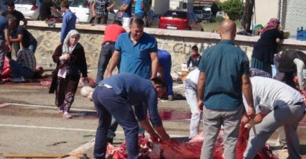 Sokakta Kurban Kesenler Dikkat! Bakanlık Kesilecek Cezayı Açıkladı