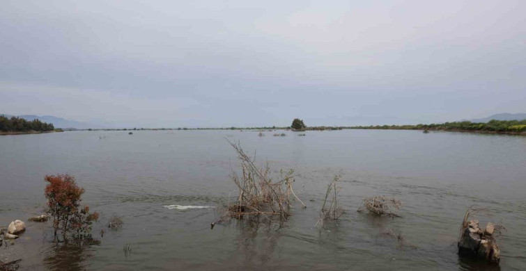 Söke Ovası'nda Taşkın İzleri Havadan Görüntülendi
