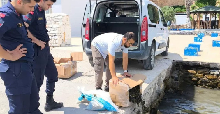 Söke’de kaçak su ürünleri nakline geçit verilmedi