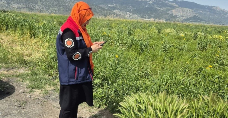 Söke'de Tarım Arazilerinde Hastalık ve Zararlılara Karşı Denetim