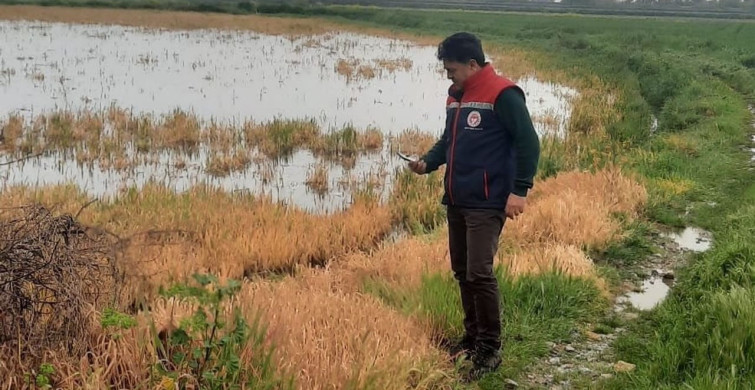Söke'de Tarım Arazilerinde Sel Hasarı İncelemeleri Devam Ediyor