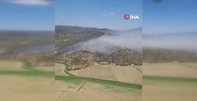 Söke'deki zirai alan yangını kontrol altına alındı