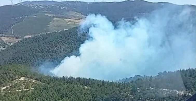 Soma'daki orman yangınına havadan ve karadan müdahale başladı