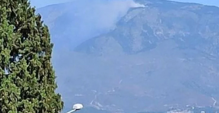 Son Dakika: Hatay'da Orman Yangını Paniğe Neden Oldu!