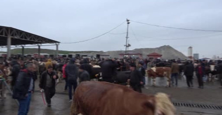 Sorgun Canlı Hayvan Pazarı: Yağışlı Havalara Rağmen Alıcı ve Satıcıları Buluşturuyor