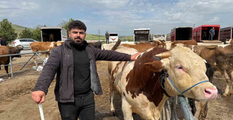 Sorgun Hayvan Pazarında Kurban Bayramı Hareketliliği
