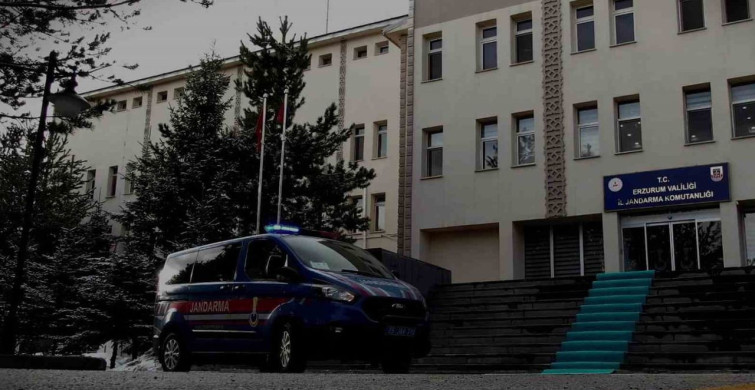 Sosyal medya üzerinden hayvan satın alma dolandırıcılığına 14 gözaltı