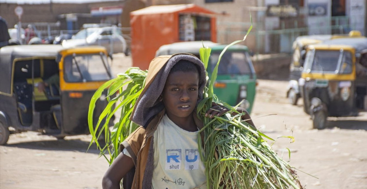 Sudan'daki Hilaliye Şehri: HDK'nin 2 Aylık Kuşatması