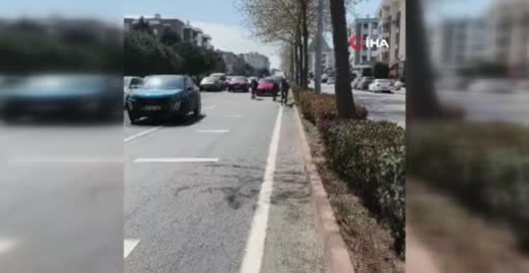 Süleymanpaşa'da Başıboş Atlar Trafiği Olumsuz Etkiledi