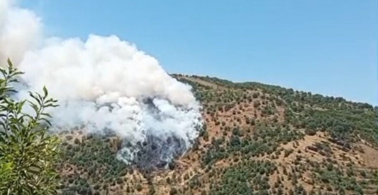 Sultanhisar'da makilik ve orman yangını