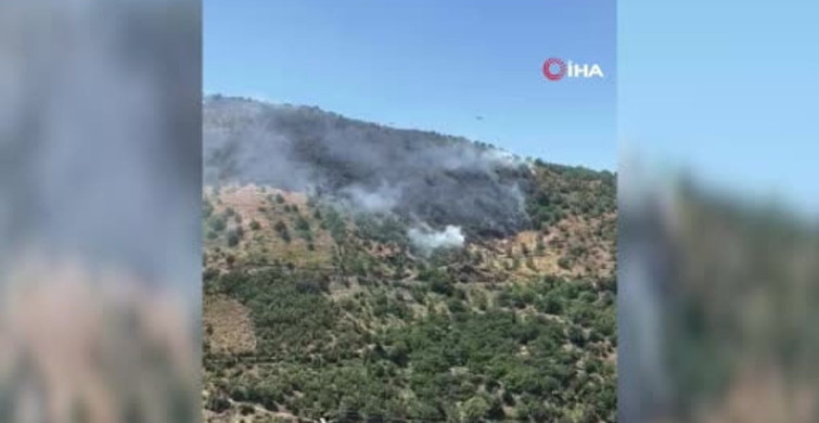 Sultanhisar'da orman yangını söndürme çalışmaları başladı