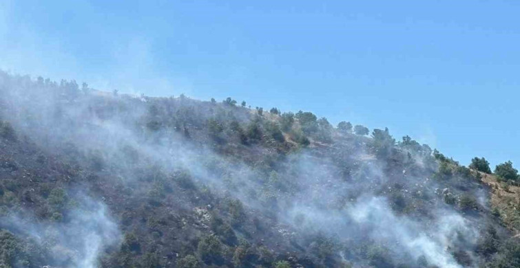 Sultanhisar'daki yangına havadan ve karadan müdahale devam ediyor