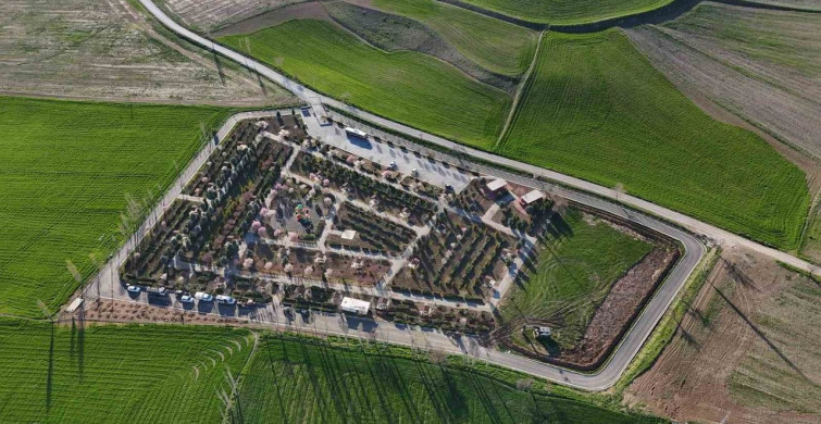 Sungurlu'da Fidan Dikim Etkinliği