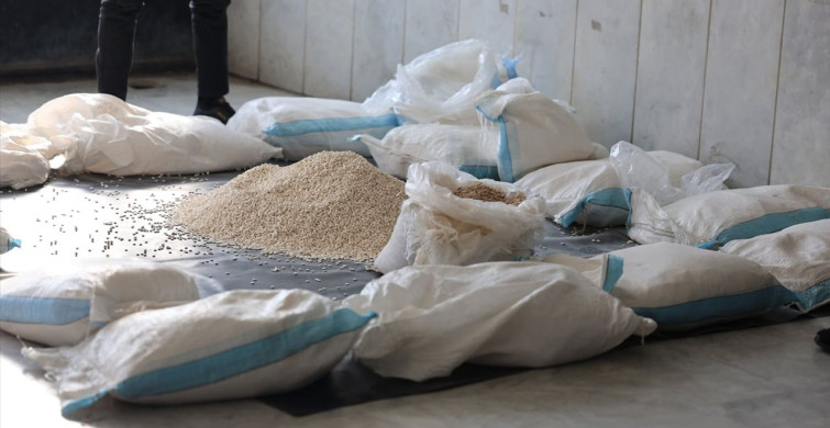 Suriye-Irak Sınırında Uyuşturucu Operasyonu: 2,5 Milyon Captagon Hap Ele Geçirildi