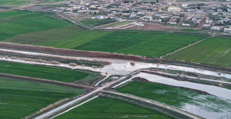 Suriye'nin Rakka Vilayetinde Aşırı Yağışlar Tarım Arazilerini Su Altında Bıraktı
