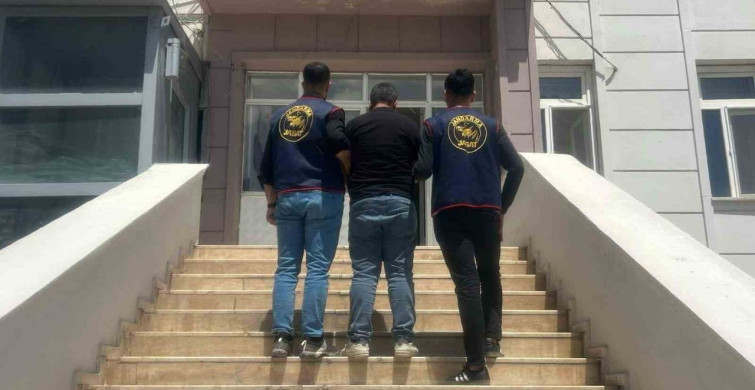 Suruç'ta Dolandırıcılık Suçlusuna Operasyon