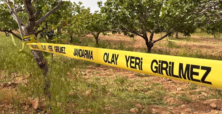 Suruç'ta Traktör Kazasında Çiftçi Hayatını Kaybetti
