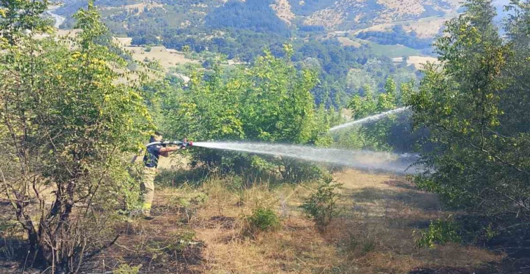 Susurluk'ta çıkan yangında 85 arı sandığı yandı