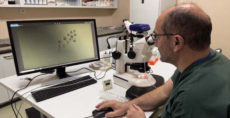 Süt Alerjisine Karşı Yeni Bir Umut: Genleri Susturulmuş Buzağılar Doğdu