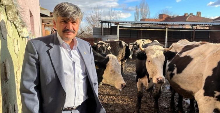 Süte gelen zammın ardından yem fiyatları da tavan yaptı! Besicilerin hevesi kursağında kaldı