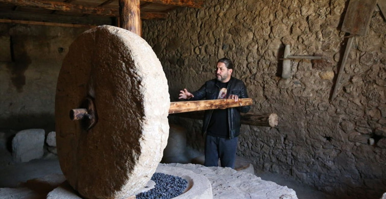 Syedra Antik Kenti'nde Zeytinyağı Üretim İzi