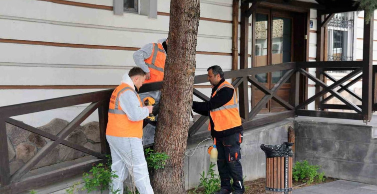 Talas Belediyesi'nden Çevre Dostu İlaçlama Uygulaması