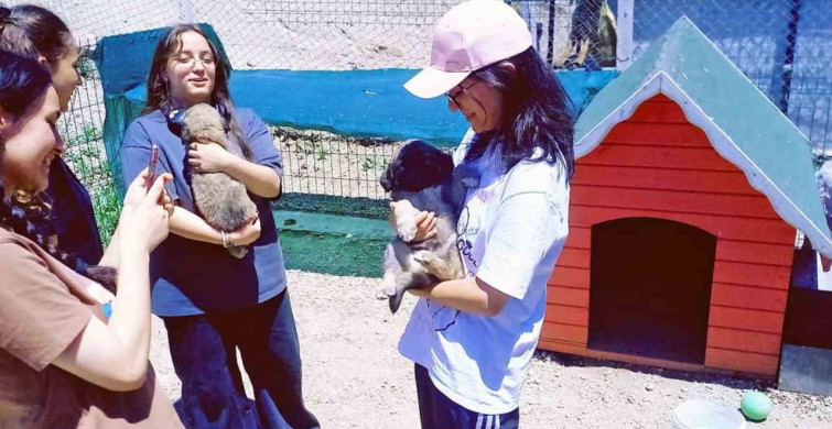 Talas Pati Evi’nde gençlerin hayvan sevgisi buluşması